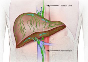 Lymphangiography and Lymphatic Interventions